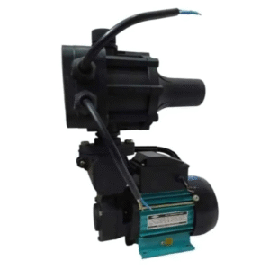 JES 1HP Eco Series Single Phase Pressure Water Pump with 24 Liter Boosting Tank