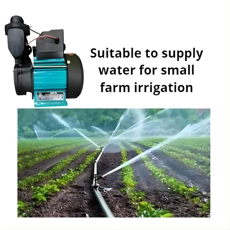 Untitled design – 2025-10-17T151512.749